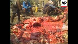 Zaire - Rwandan Refugees Trying to Return Home video