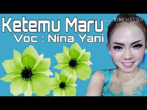 Ketemu Maru - Nina Yani Lagu Tarling Terbaru 2020
