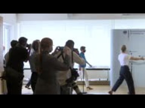 Parly on continued military co-op with Mali forces