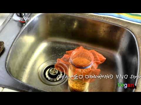 REJUVELAC PROBIOTICS for VEGAN CHEESE and YOGURT