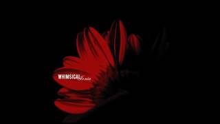 Whimsical - Ionia (Lycia)