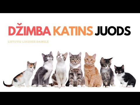 DŽIMBA - Katins juods