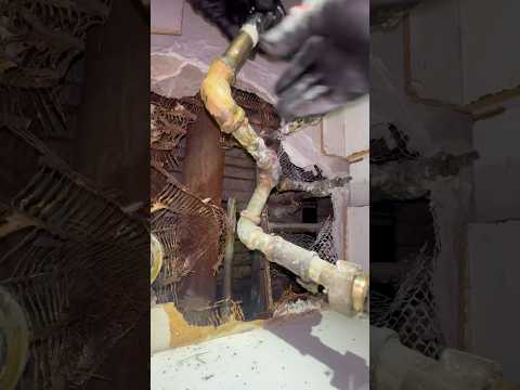 Plumber Gold Mine #nyc #fyp