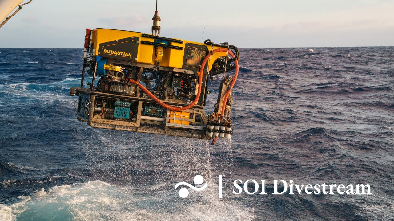 Lance 39.1 Mar Del Plata Canyon | SOI Divestream 818 PART 2