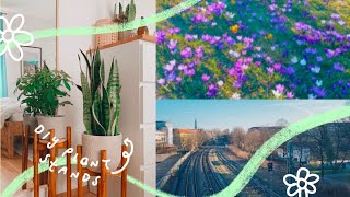 Spring is here, let's make plant stands