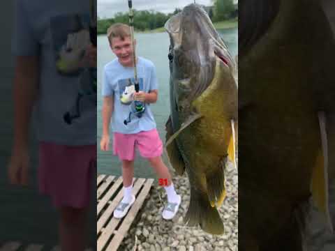 I caught a huge bluegill #fishing