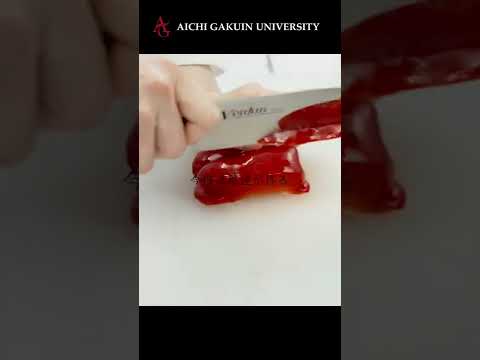 心理学科 【健康栄養学科】こうして給食は作られる。#shorts #愛知学院大学 #給食 #管理栄養士