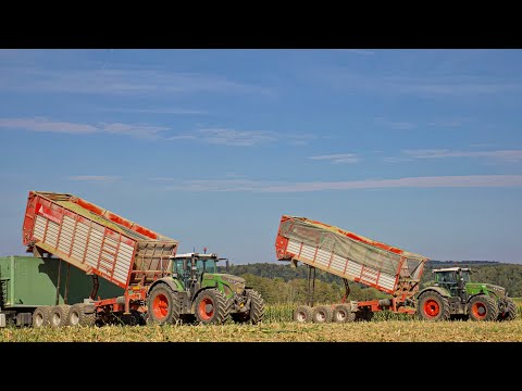 Maisernte 2023🌽bei Meerwarht Agrar 🌽 | Lohnunternehmen Martin Schmid
