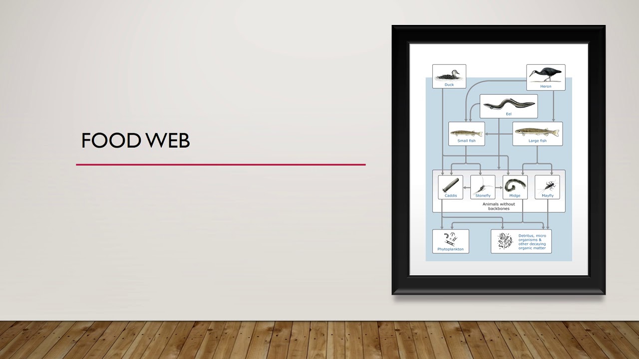 Environmental science powerpoint