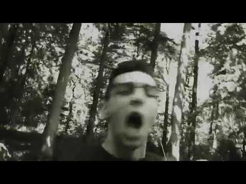 Punch Arogunz VR2 vs LOERRES VBT 2012