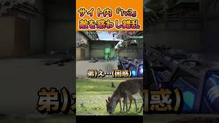 サイト内『1v3』敵を惑わし錯乱！　 #shorts  #valorant #ヴァロラント#valorantclips