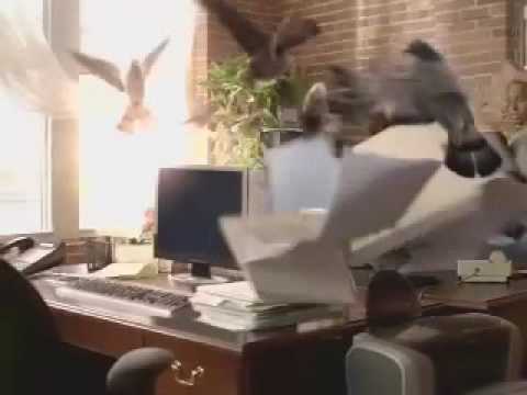 GoToMyPC Pigeon Commercial: "Squadron"