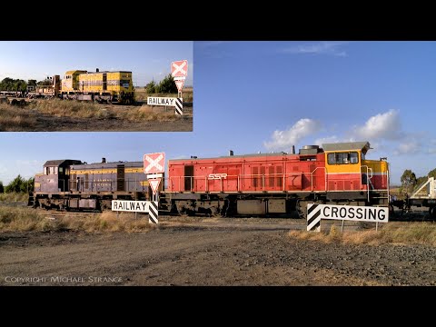 SSR Broad Gauge Rail Train With T386, P17 & T395 (19/12/2021) - PoathTV Australian Railways
