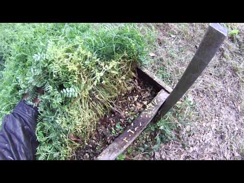 Free Fertilizer, Worms at Work!