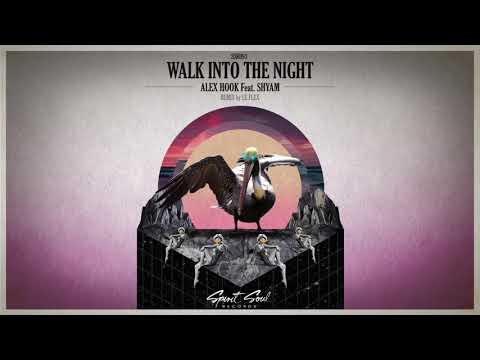 Alex Hook Feat. Shyam P - Walk Into The Night (Original Mix)