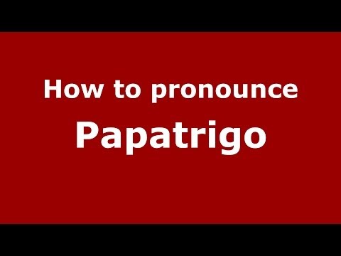 How to pronounce Papatrigo (Spanish/Spain) - PronounceNames.com