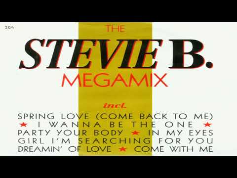 THE STEVIE B MEGAMIX