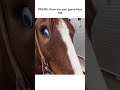 Woman Puts Googly Eye on Horse