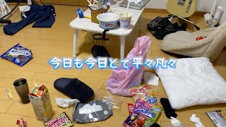 恐ろしいほど平凡な一日【一人暮らし社会人男子の休日】