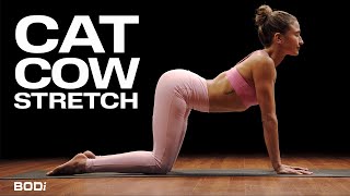 How to Do Cat-Cow Stretch With Micki Duran | Yoga52