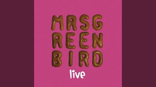 Long Ride Home (Live)