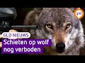 GLD Nieuws 13 juli 2023
