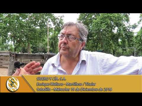19-12-18 Nota Enrique Wallace - Martillero / Titular - Sivero y Cía. S.A. - Saladillo
