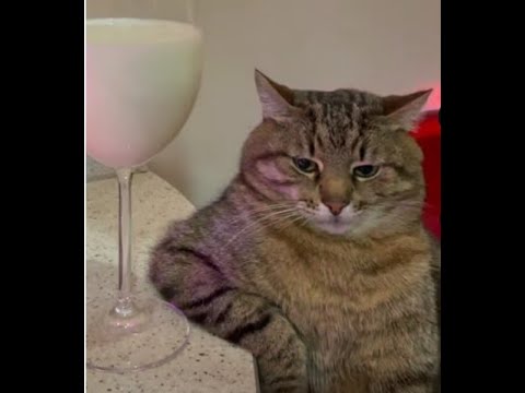 Narcotic Thrust, Blank & Jones, Flying Steps, ATB, tATu, The Prodigy, BT