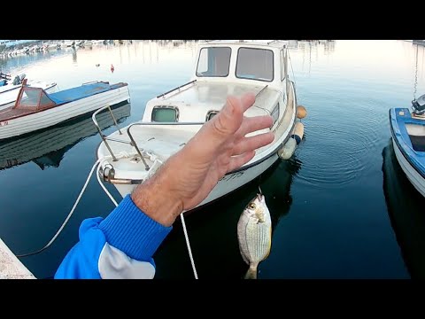UZIVANJE U REKREATIVNOM  RIBOLOVU NA BARSKOJ MARINI - 4K VIDEO