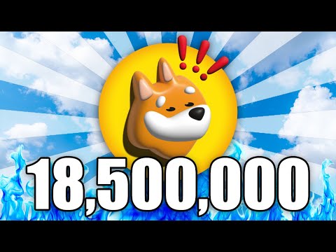 What 18,500,000 BONK Coins Will Be Worth in 2025...