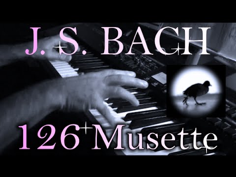 Johann Sebastian BACH: Musette in D major, BWV Anh. 126