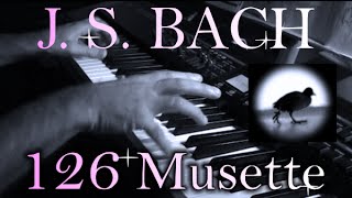 Johann Sebastian BACH: Musette in D major, BWV Anh. 126