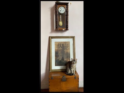 Safo Data - Minuto Tensión