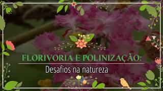 Herbívoros florais interferem na polinização. Veja aqui um video sobre um interessante estudo nessa