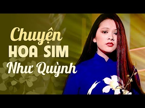 Chuyện Hoa Sim (Lyric Video) - Như Quỳnh | Rừng hoang đẹp nhất hoa màu tím....