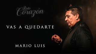 Vas A Quedarte Lyrics English Translation