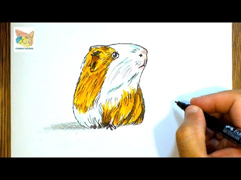 Comment dessiner un cochon d'inde facilement