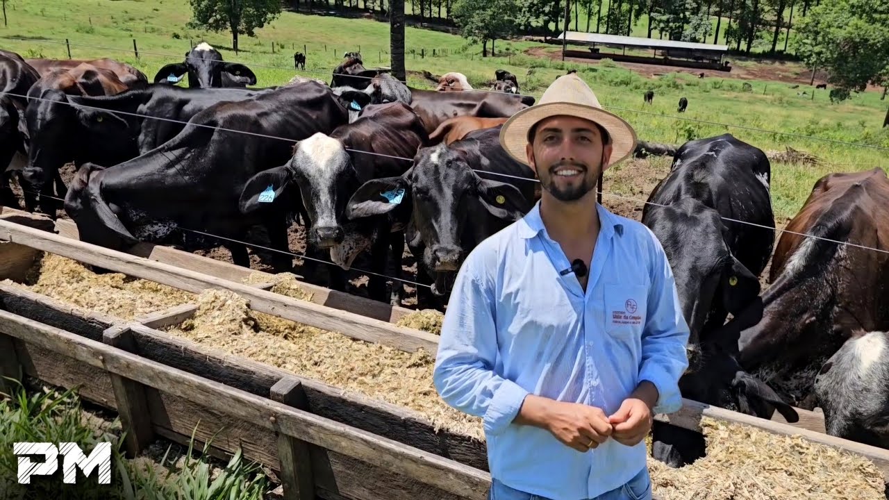 ELE CONSTRUIU TRÊS FONTES DE RENDA NA PECUÁRIA LEITEIRA
