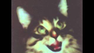 Cover art for Chinaski