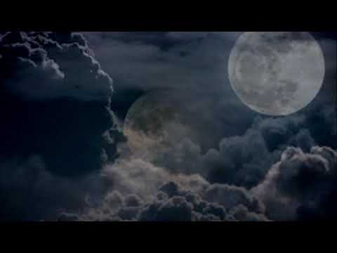 Nelu Slev - Help Me Make It Through The Night -