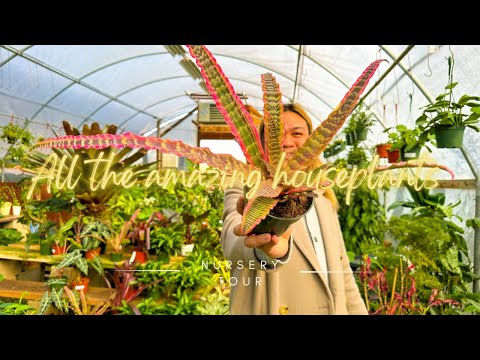 Tropical Plant Paradise in San Marcos: Super Garden Center