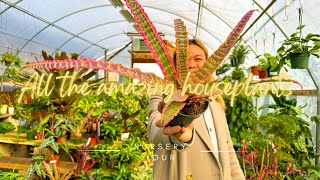 Tropical Plant Paradise in San Marcos: Super Garden Center