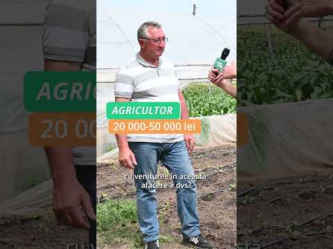 Cât câștigă un agricultor în Republica Moldova în 2023