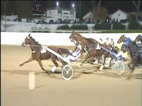 Trotto 03/11/2017 - 5ª corsa