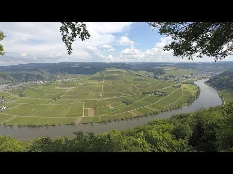 Moselsteig / Etappe 09: Neumagen-Dhron – Kesten/Osann-Monzel / Wandern und Geocaching