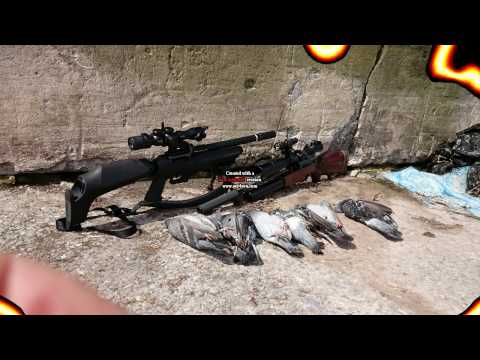 The Joker A1 GUNS & Welsh Air Gunners