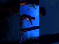 Ennai Thodum Thendral Unnai Thodavillaiya Whatsapp Status Full Screen Hd