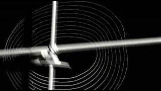 CLINIC - MONKEY ON YOUR BACK