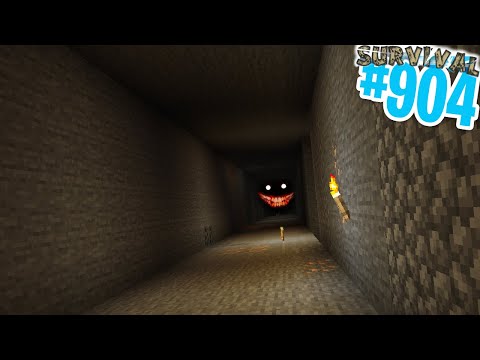 NUOVO PROGETTO SEGRETO!! - Minecraft ITA SURVIVAL #904
