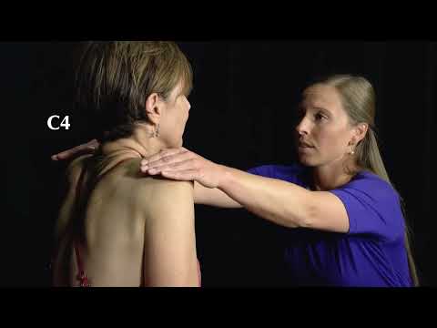 Neck Examination: Cervical Spine Screen